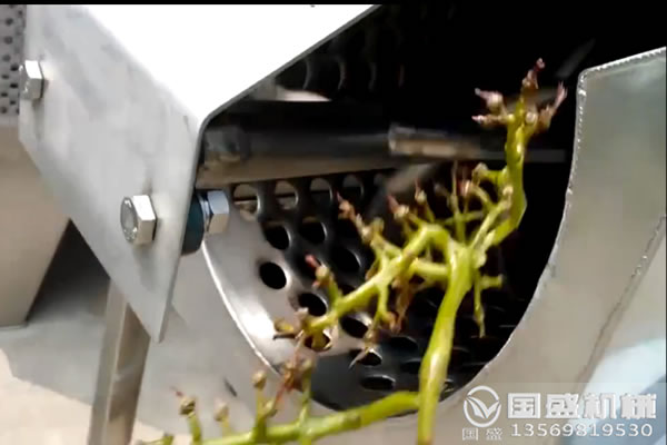 葡萄去梗机